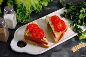 Двухэтажный сэндвич с помидорами и хумусом
